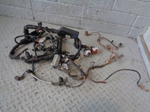 Engine Wiring Loom 2.7 TDV6 4H2Q-9H589-AT Euro 3 Discovery 3 Range Rover Sport